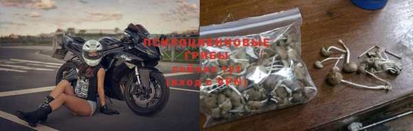 гидропоника Бугульма