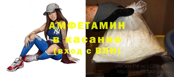 ECSTASY Бородино