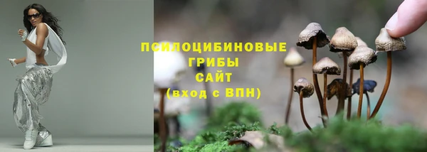 ECSTASY Бородино