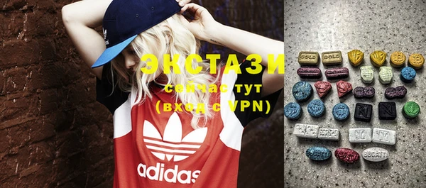 ECSTASY Бородино