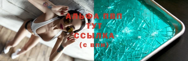 ECSTASY Бородино